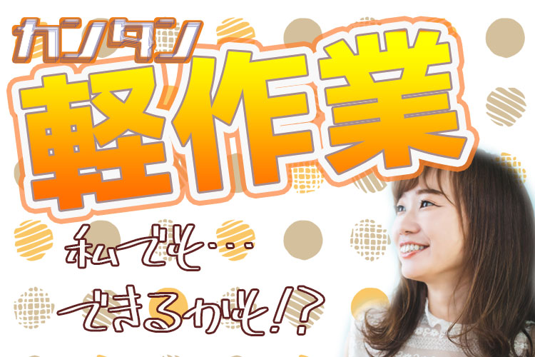 その他　スグナビ - 【日勤＆土日祝休み】簡単なPC入力や電話対応！残業少な目で働きやすい！【寮完備】