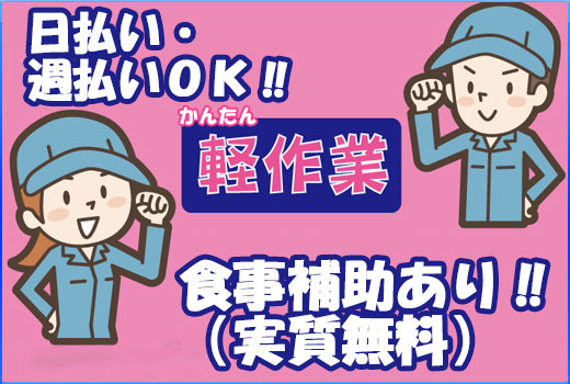 自動車関連　スグナビ - 【食事補助あり】カーバッテリー製造★かんたん作業で男女多数活躍中のお仕事！ 