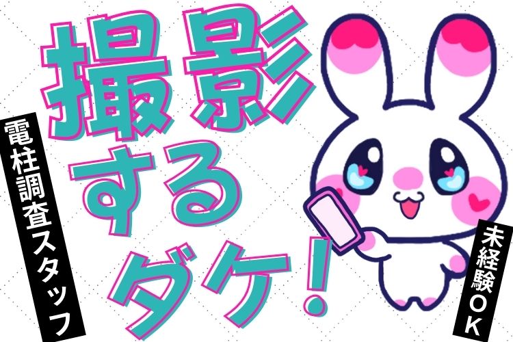 その他　スグナビ - 【超・楽ちん】明るい時間に写真を撮るだけ♪運転中も一人で快適な電柱調査スタッフ★